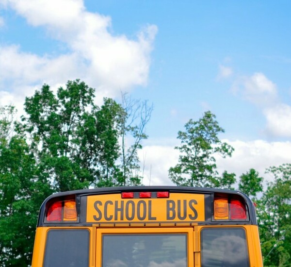 School Bus and blue sky with trees