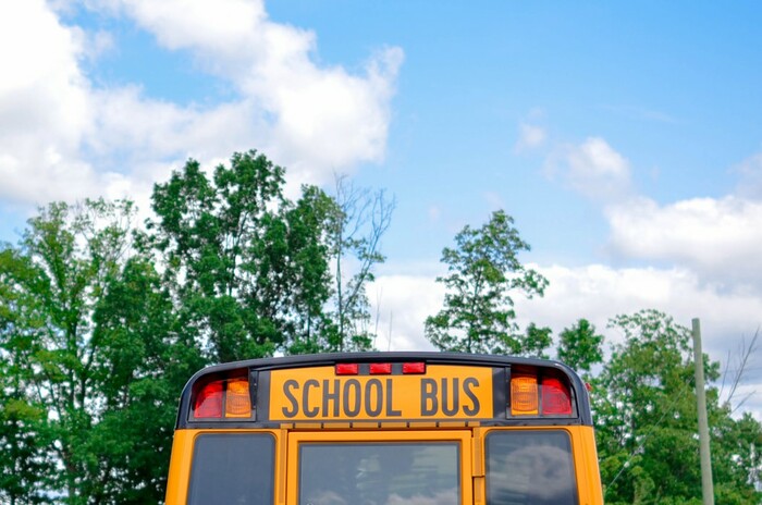 School Bus and blue sky with trees